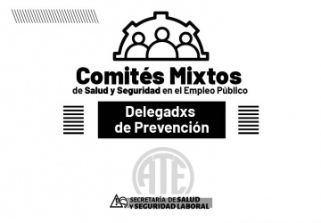Comités mixtos de salud y seguridad en el empleo público